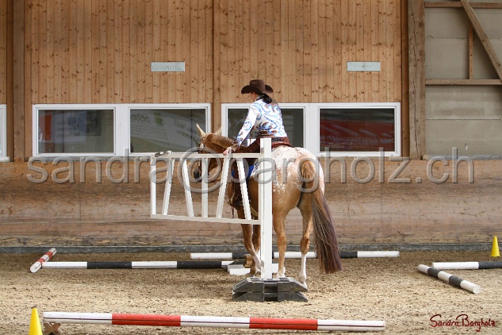 26-ApHC GT_207.jpg